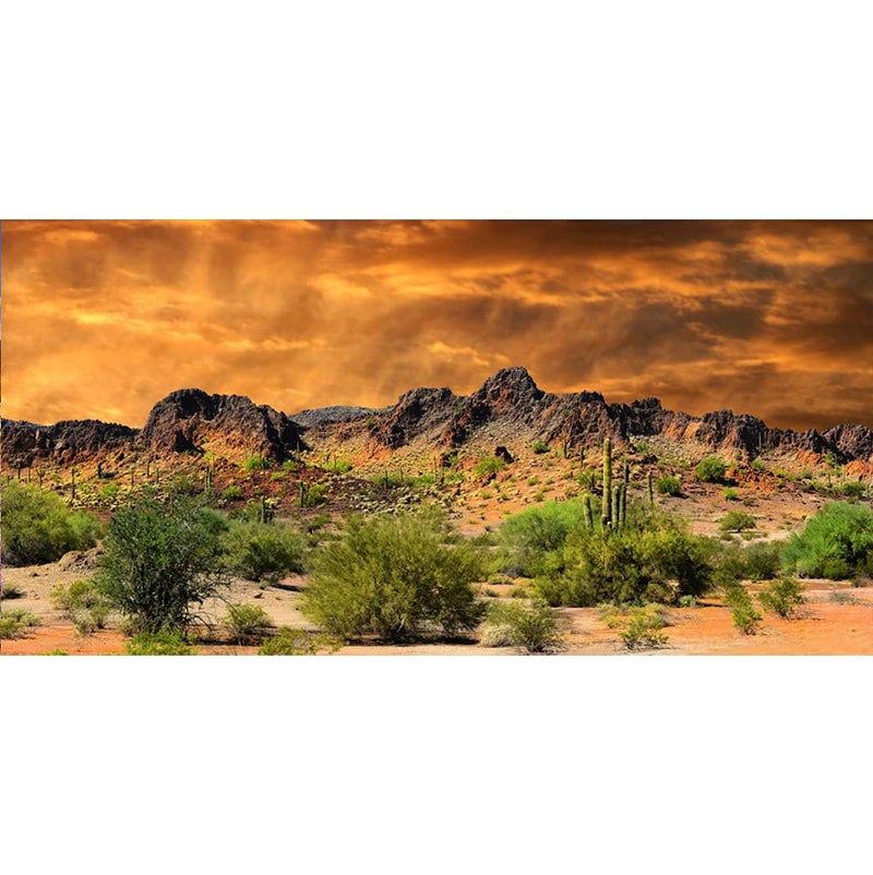 Laeacco 20x10ft Dusk Desolate Desert Backdrop Weathered Mountains Scenic Backdrop Natural Landscape Sunset Glow Cactuses Wedding Photo Studio Stage Perfomance Wallpaper Portrait Shoot Booth Props - Image 1